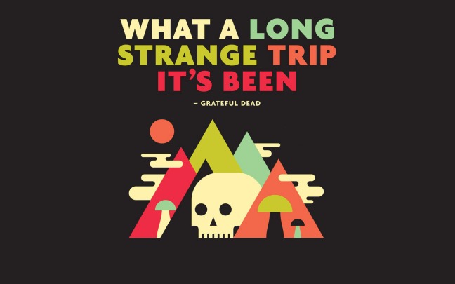 what-a-long-strange-trip-its-been-15788